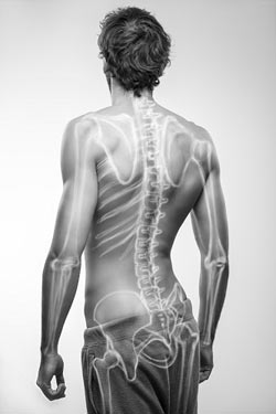 Graphische Darstellung des menschlichen Skelettes auf einem männlichen Rücken